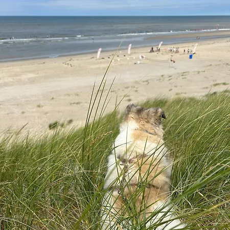 Im Maritimen Flair Mit Privatem Garten Vakantiehuis *